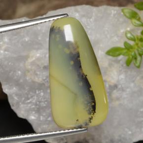 Ópalo musgoso Dendrita amarilla natural de 8.75 ct, Forma elegante, Translúcido