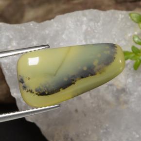 Ópalo musgoso Dendrita amarilla natural de 8.75 ct, Forma elegante, Translúcido