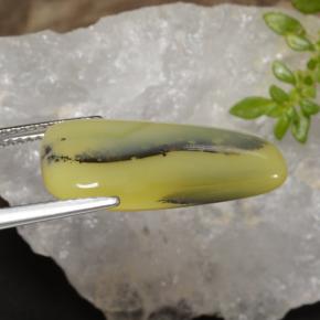 Ópalo musgoso Dendrita amarilla natural de 8.75 ct, Forma elegante, Translúcido