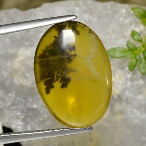 Ópalo musgoso Dendrita amarilla natural de 6.54 ct, Corte Óvalo, Translúcido