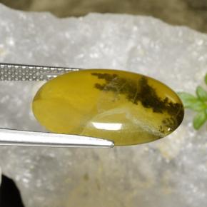 Ópalo musgoso Dendrita amarilla natural de 6.54 ct, Corte Óvalo, Translúcido