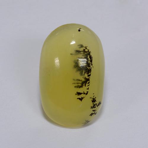 Ópalo musgoso dendrita amarilla natural de 3,98 ct, corte óvalo, translúcido