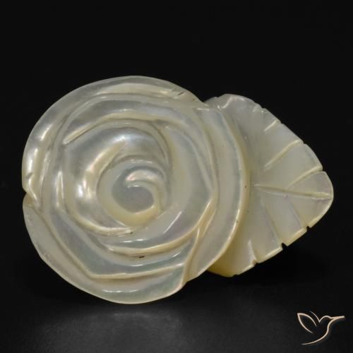 Madreperla Blanco perlado natural de 17.50 ct, Corte Flor, Opaco