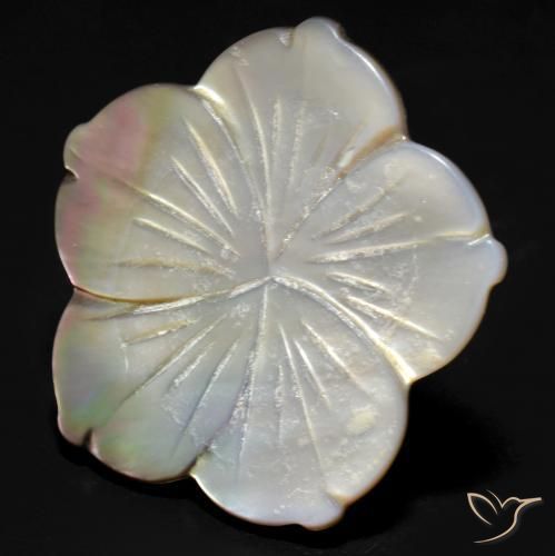 24.27ct Natural Blanco Madreperla, Corte Flor, Opaco