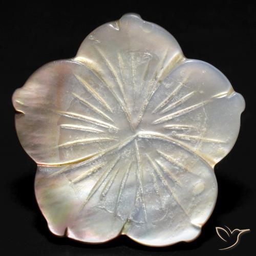 Madreperla Blanco natural de 24.27 ct, Corte Flor, Opaco