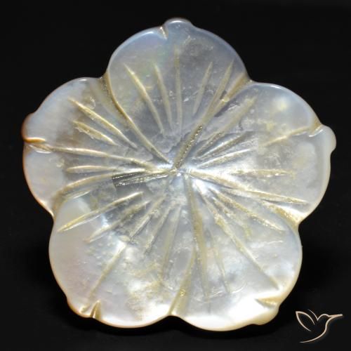 29.23ct Natural Blanco Madreperla, Corte Flor, Opaco