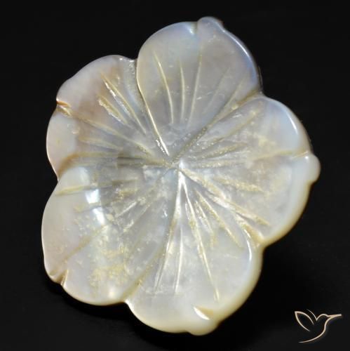 Madreperla Blanco natural de 29.23 ct, Corte Flor, Opaco