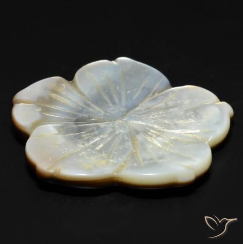 Madreperla Blanco natural de 29.23 ct, Corte Flor, Opaco