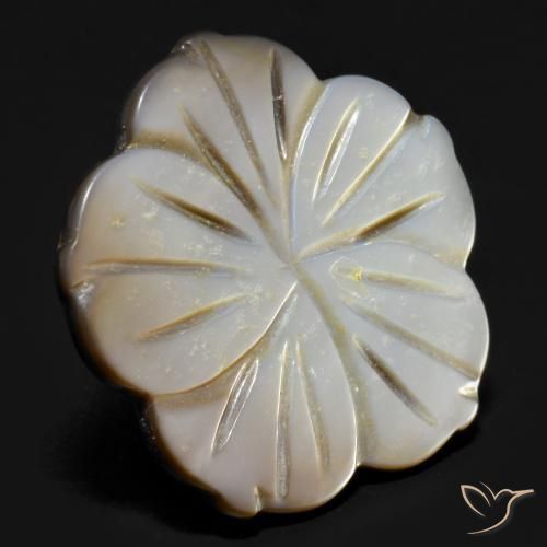 Madreperla Ahumado natural de 14.21 ct, Corte Flor, Opaco