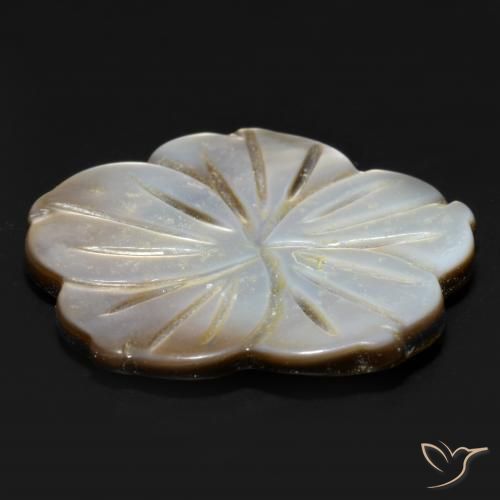Madreperla Ahumado natural de 14.21 ct, Corte Flor, Opaco