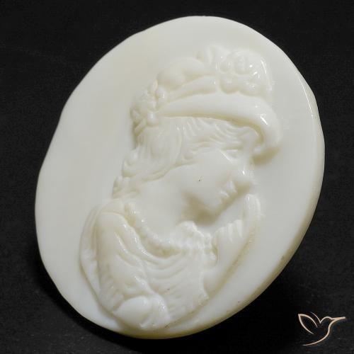 Madreperla Blanco cálido natural de 14.55 ct, Redondo, Opaco