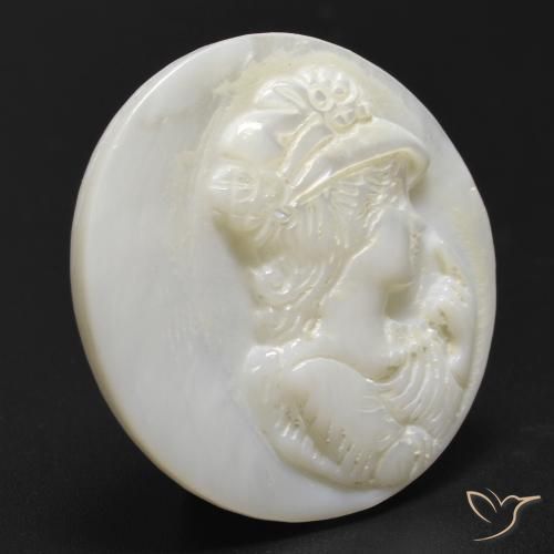 Madreperla Blanco cálido natural de 13.32 ct, Redondo, Opaco