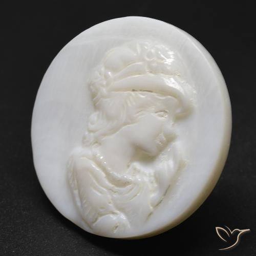 Madreperla Blanco crema natural de 19.63 ct, Redondo, Opaco