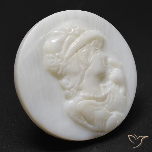 Madreperla Blanco crema natural de 19.63 ct, Redondo, Opaco