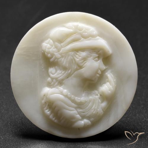 Madreperla Blanco perlado natural de 16.21 ct, Redondo, Opaco
