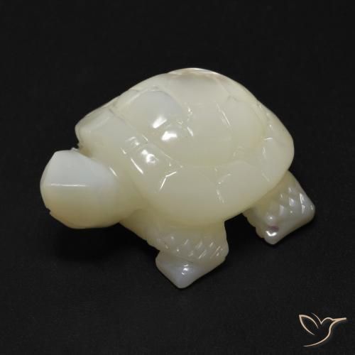 Madreperla Blanco perlado natural de 21.41 ct, Elegante, Opaco