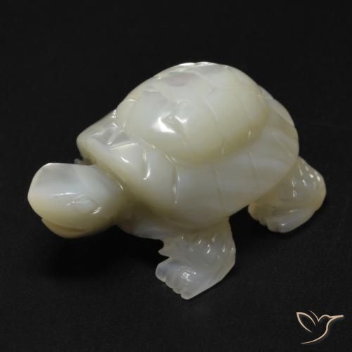 Madreperla Blanco perlado natural de 23.99 ct, Elegante, Opaco