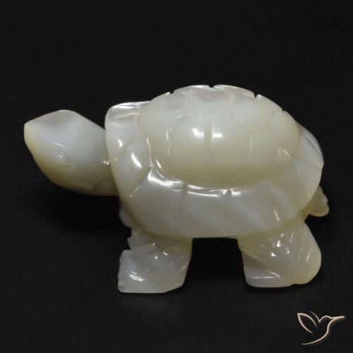 Madreperla Blanco perlado natural de 23.99 ct, Elegante, Opaco
