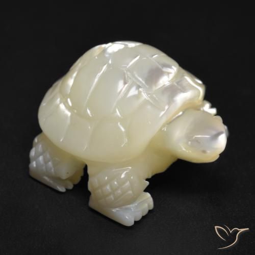 Madreperla Blanco perlado natural de 19.50 ct, Elegante, Opaco