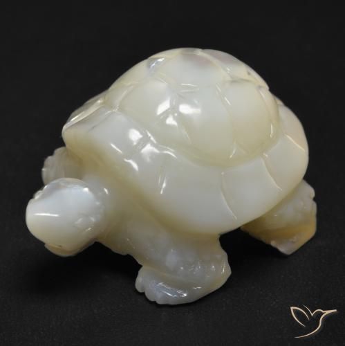 Madreperla Blanco perlado natural de 20.94 ct, Elegante, Opaco