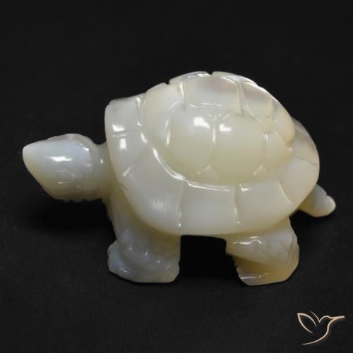 Madreperla Blanco perlado natural de 20.94 ct, Elegante, Opaco