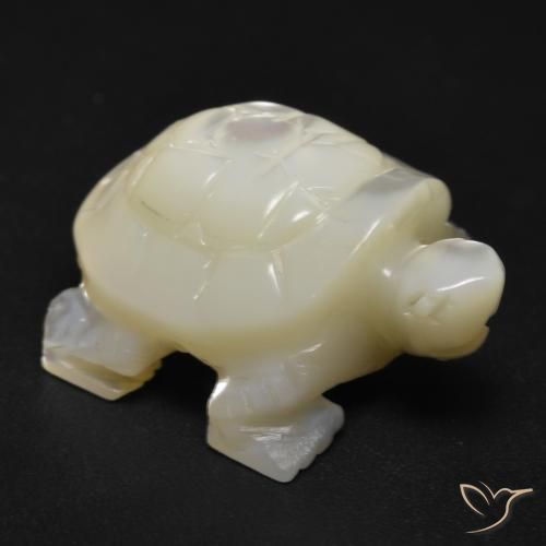 18.53ct Natural Blanco perlado Madreperla, Elegante, Opaco
