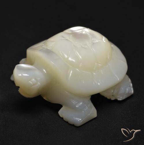 Madreperla Blanco perlado natural de 18.53 ct, Elegante, Opaco