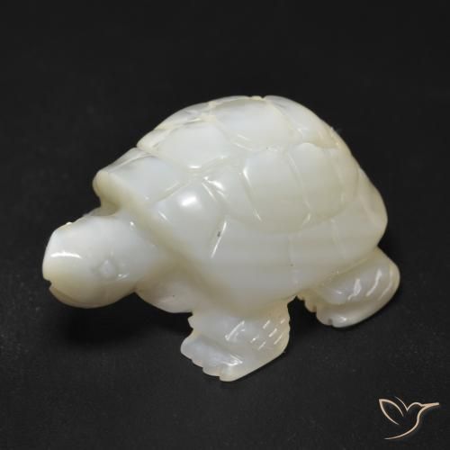 Madreperla Blanco perlado natural de 23.34 ct, Elegante, Opaco
