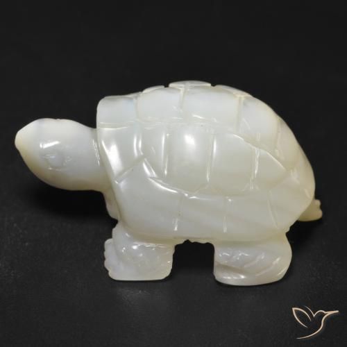 Madreperla Blanco perlado natural de 23.34 ct, Elegante, Opaco