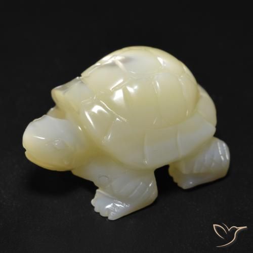 Madreperla Blanco perlado natural de 22.57 ct, Elegante, Opaco