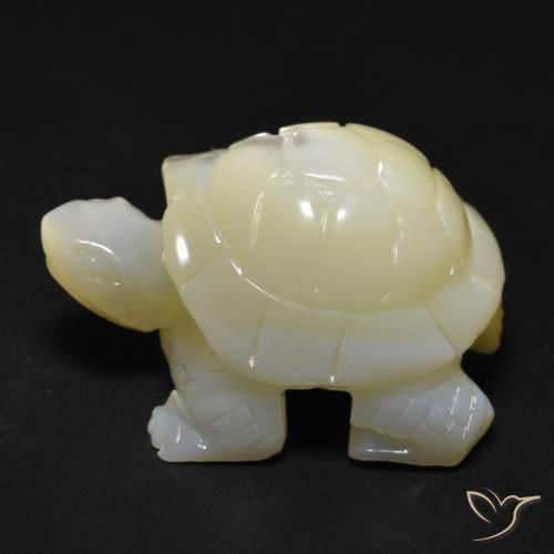 Madreperla Blanco perlado natural de 22.57 ct, Elegante, Opaco