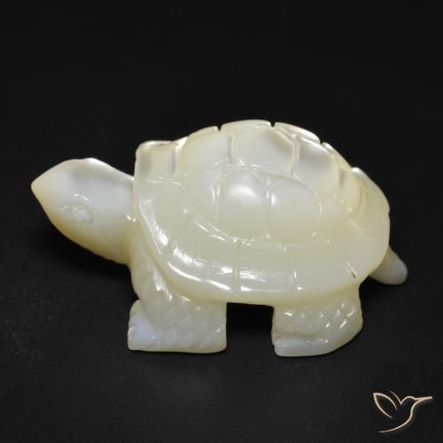 Madreperla Blanco perlado natural de 22.16 ct, Elegante, Opaco