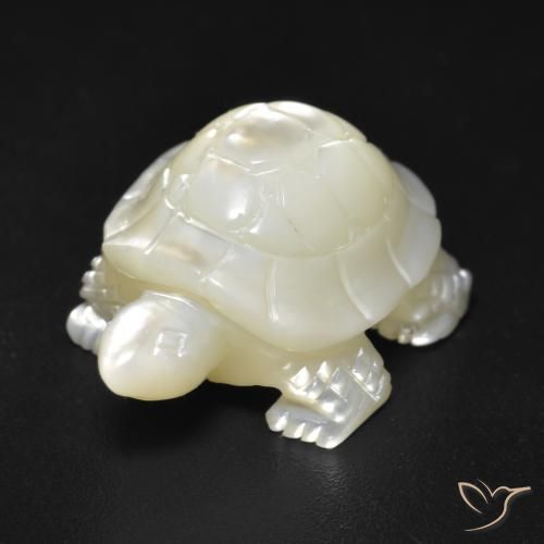 Madreperla Blanco perlado natural de 17.57 ct, Elegante, Opaco