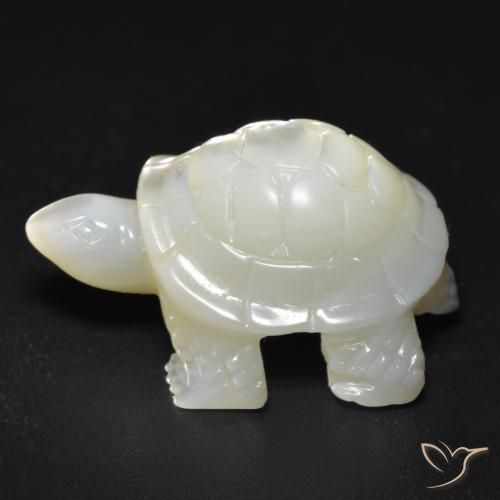 Madreperla Blanco perlado natural de 17.57 ct, Elegante, Opaco