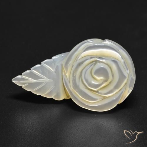 Madreperla Blanco perlado natural de 15.05 ct, Corte Flor, Opaco