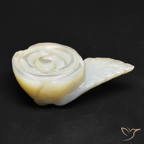 Madreperla Blanco perlado natural de 15.05 ct, Corte Flor, Opaco