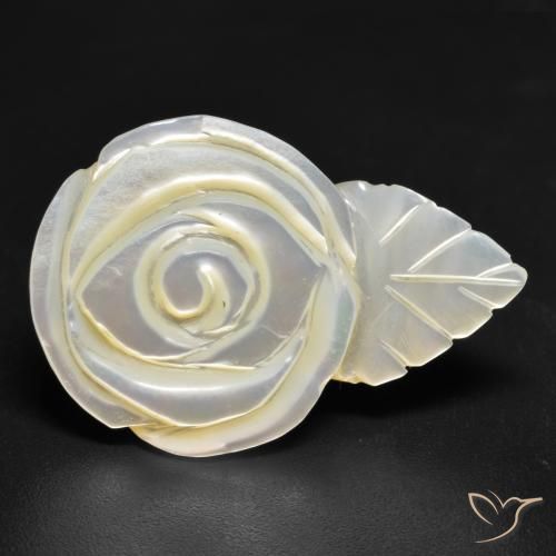 Madreperla Blanco perlado natural de 18.01 ct, Corte Flor, Opaco