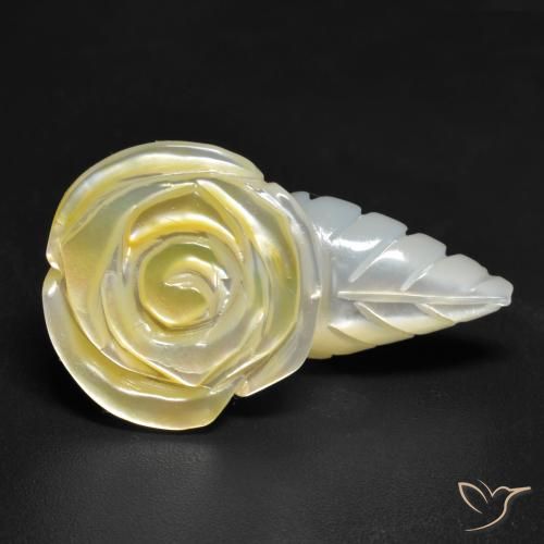 Madreperla Amarillo claro natural de 20.91 ct, Corte Flor, Opaco