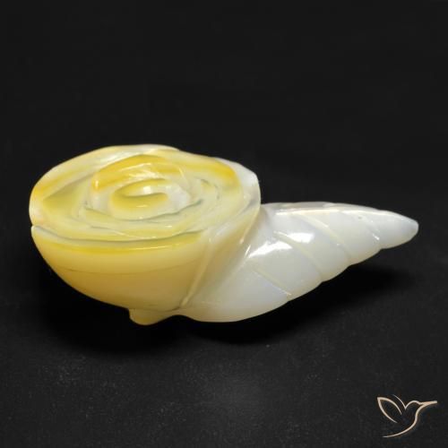 Madreperla Amarillo claro natural de 20.91 ct, Corte Flor, Opaco