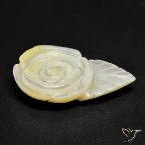 Madreperla Blanco perlado natural de 16.46 ct, Corte Flor, Opaco