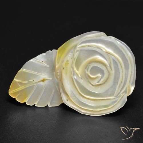 Madreperla Amarillo claro natural de 16.60 ct, Corte Flor, Opaco