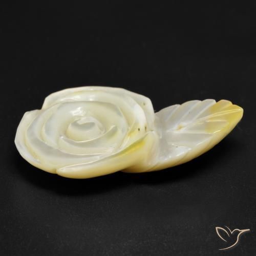 Madreperla Amarillo claro natural de 16.60 ct, Corte Flor, Opaco