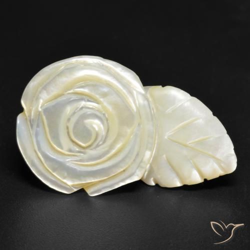 19.38ct Natural Blanco perlado Madreperla, Corte Flor, Opaco