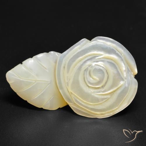 Madreperla Blanco perlado natural de 19.38 ct, Corte Flor, Opaco