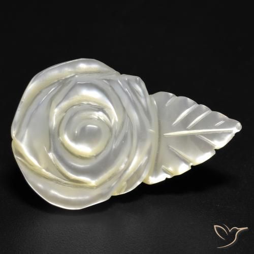 Madreperla Blanco perlado natural de 15.19 ct, Corte Flor, Opaco