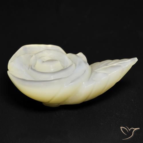 Madreperla Blanco perlado natural de 15.19 ct, Corte Flor, Opaco