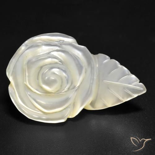 Madreperla Blanco perlado natural de 12.59 ct, Corte Flor, Opaco