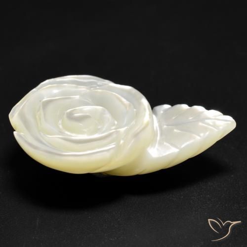 Madreperla Blanco perlado natural de 12.59 ct, Corte Flor, Opaco