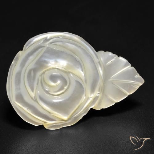 Madreperla Blanco perlado natural de 15.15 ct, Corte Flor, Opaco
