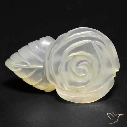 Madreperla Blanco perlado natural de 14.21 ct, Corte Flor, Opaco